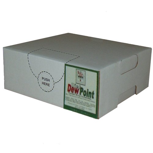 Diet Dew Point Syrup (1 gallon)