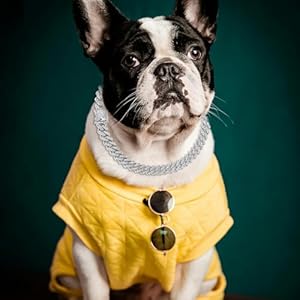 Silver-Dog-Chain-Collar-9-Inch-Diamond-Cuban-Link-Dog-Collar-14mm-Wide-Dog-Necklace-Metal-Chain-Pet-Crystal-Collar-Jewelry-Accessories-for-Small-Medium-Large-Dogs-and-Cats9-Inch - Cucciolini Doodles   Silver-Dog-Chain-Collar-9-Inch-Diamond-Cuban-Link-Dog-Collar-14mm-Wide-Dog-Necklace-Metal-Chain-Pet-Crystal-Collar-Jewelry-Accessories-for-Small-Medium-Large-Dogs-and-Cats9-Inch