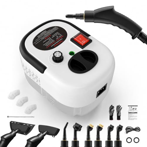 TwoOases Dampfreiniger Handgerät
