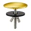 Polished Gold