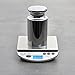 American Weigh Scales Calibration Weight for AWS Digital Scale, Carbon Steel, Chrome Plated, Chrome Finish, 5000g (5KGWGT)