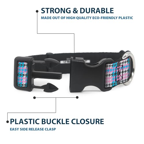 Collier Buckle Down mini hounds dent resout le probleme de poids pour petit chien - 5