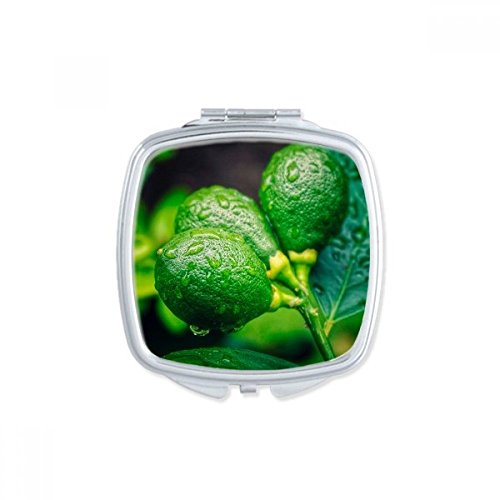 Miroir carré maquillage compact pour corriger les imperfections du teint n'importe où