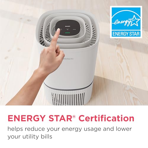 True HEPA Air Purifier for Allergies