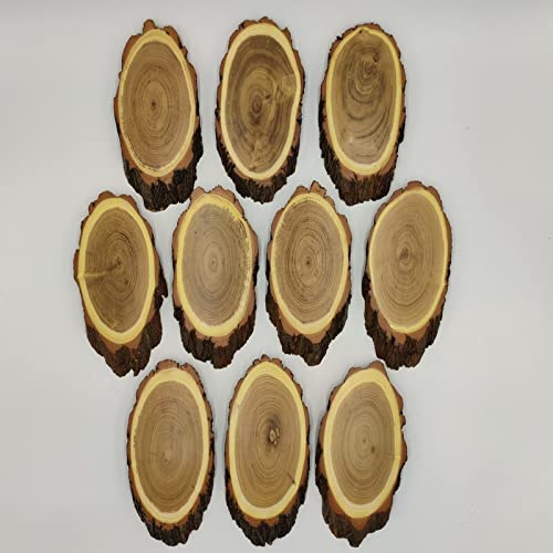 Pack of 10 Acacia Deer Trophy Sign Large with Pine Compartment Deer Tree Disc Height 20 cm