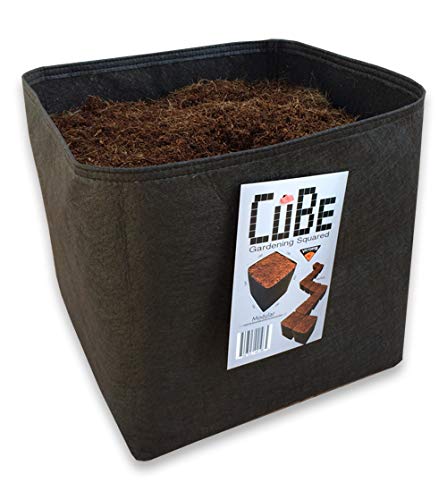 Victory 8 Cube Garden Square 1 Foot. x 1 Foot Modular Fabric Pot Container (8 Pack)