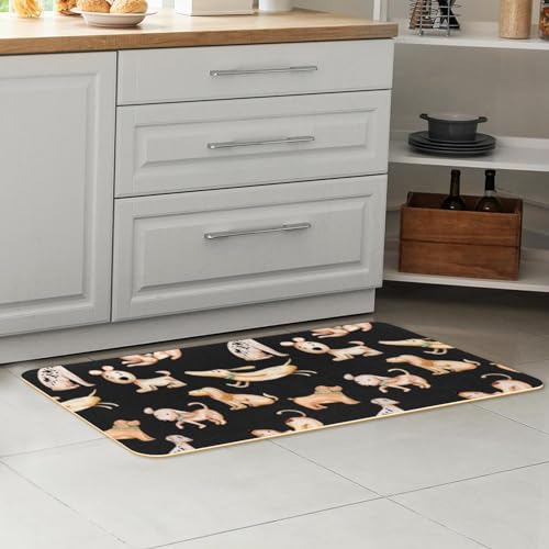 Tapis de cuisine lavable lot de 2 fini les glissades tapis chiens