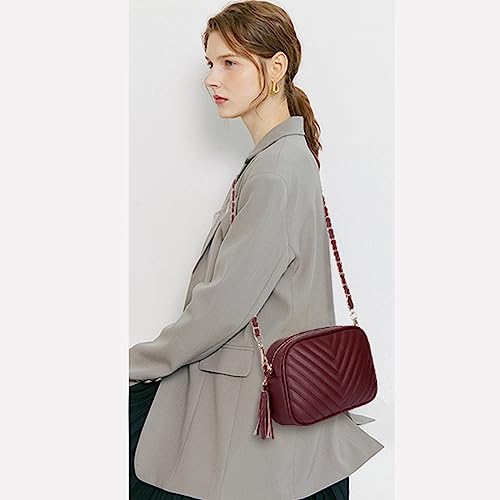 Image of Small Crossbody Purses for Women Quilted Crossbody Shoulder Handbags Trendy Clutch Purse Camera Bag