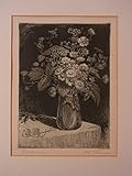  Otto Thämer. Original-Radierung. Feldblumen. Signiert