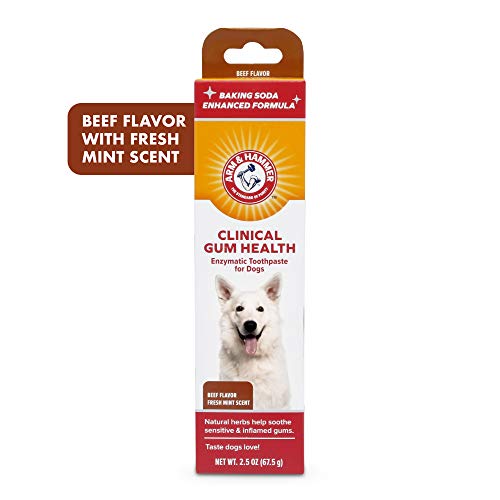 brushless toothpaste for humans