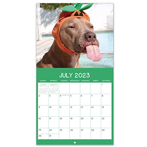 Cute Puppies Wall Calendar 2023-2024, Fun Dogs Wall Calendar, Jul. 2023 - Dec. 2024, 12'' X 12'' (Closed), 12'' X 24'' (Open), Dog Calendar, Hanging Hole, Holidays #TOP4