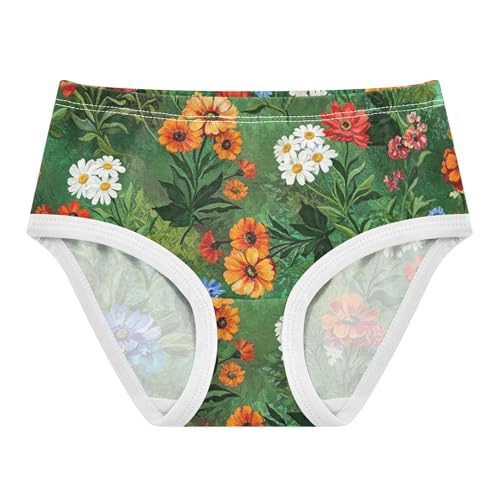 Girls Underwear Toddlers 2t Cotton Panties for Girl Artistic Undies Kids Briefs Vibrant Colorful Floral Orange Blue