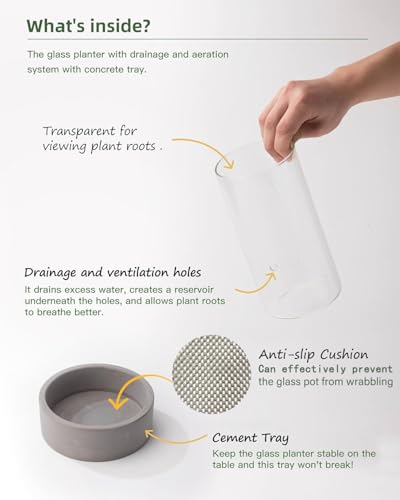 Fayoula Glass Orchid Pot, 4 Inch Clear Orchid Pot With Holes For Repotting thumb #1