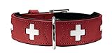 Aufwendig verarbeitetes Hundehalsband im beliebten Hunter Swiss-Design