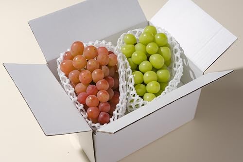 甲州市産 シャインマスカット&サンシャインレッド 2房入(約1.1kg)自然農法[2026年9月上旬〜10月中旬頃、順次お届け予定](BNC)B15-427