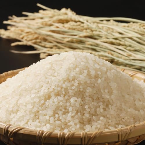 令和7年産 新米 島根県産 きぬむすめ 5kg 精米 白米 ツヤと甘みのある色白美人米 コシヒカリ系 冷めても美味しい ご家庭用 ギフト用