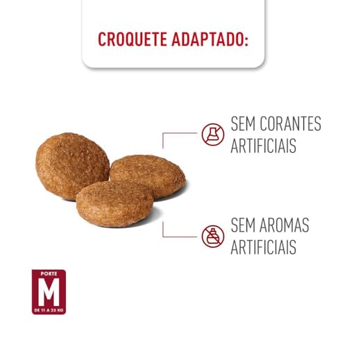 Royal Canin - Ração para Cães de Porte Médio Adultos 12kg