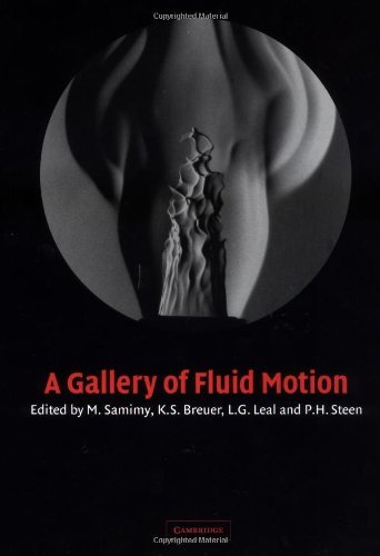 A Gallery of Fluid Motion