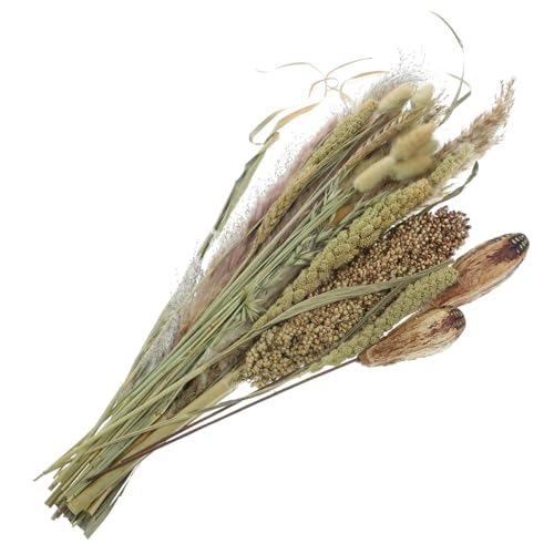 Ramo de Hierba Pampas Secas con Broomcorn y Caña Decoración