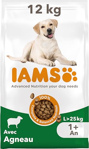 IAMS Advanced Nutrition pour Chien Adulte de Grande Race 1 an + - Croquettes 100% Complètes &...
