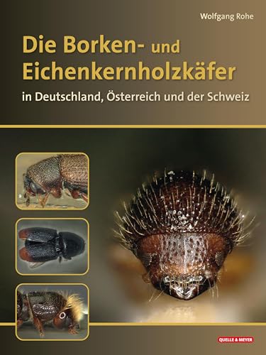 Die Borkenkäfer Deutschlands, Österreichs Und Der Schweiz: Mit Splint- Und Eichenkernholzkäfern