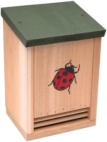 Wood Ladybug House