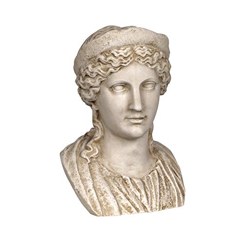 Cabeza de Venus de la Flora regalo exclusivo de decoración para amantes del arte