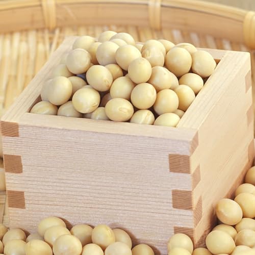 Y 哤 yߘaUNYz {錧Y ~MV 嗱 500g y[ցz