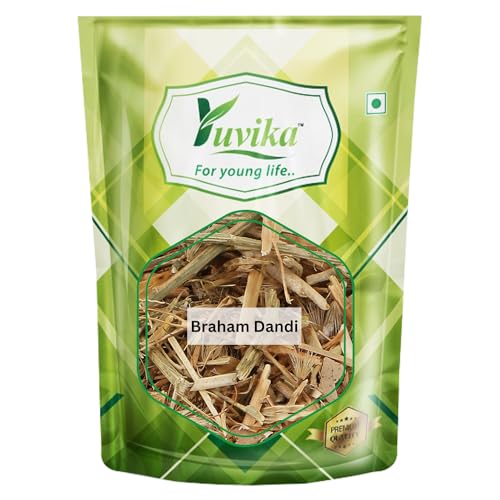 Image of YUVIKA Braham Dandi - Brahm Dandi - Barham Dandi - Tricholepis Angustifolia (100 Grams)