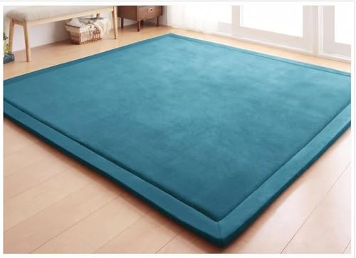 ZJIQOH Alfombra Salon Grande De Terciopelo Coral Pelo Corto, Manta De Juegos Suave y Antideslizante, Tapete Sala Lavable para Ejercicio Gateo Yoga(Navy Blue,100 x 200 cm)