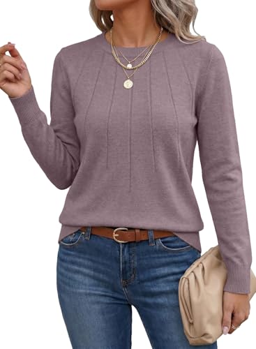 Image of SHEWIN Womens Sweaters 2026 Casual Crewneck Long Sleeve Lightweight Knit Pullover Sweater Tops Fall Clothes
