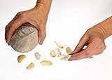 Garlic Rock Natural Mincer, Crusher, Peeler, Press