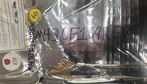 (1 PC) M430F169REV TI