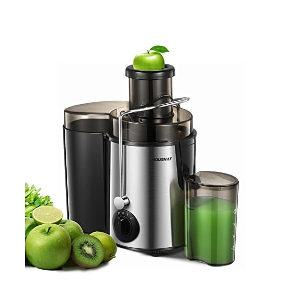 Juicer Machine, HOUSNAT Centrifugal Juicer 400 W Motor, 65MM Wide Chute for Whole Fruit and Vegetables, Juice Extractor with 3 Speeds, Upgraded Version Quick Juicing, Easy to Clean, BPA Free, Silver
