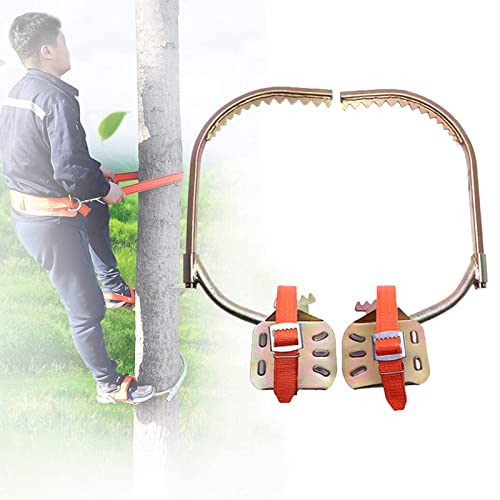 Kit portable de crampons d'escalade durables pour arbres