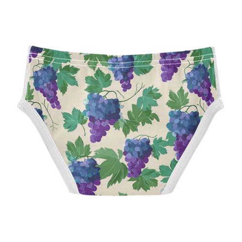 Wusikd Grapes Leaves Boys' Underwear Cotton Boys Briefs Soft Toddler Underwear 2T2