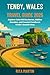 TENBY, WALES TRAVEL GUIDE 2025: Explore Colorful Harbors, Hidden Beaches, and Coastal Castles in Wales' Seaside Gem