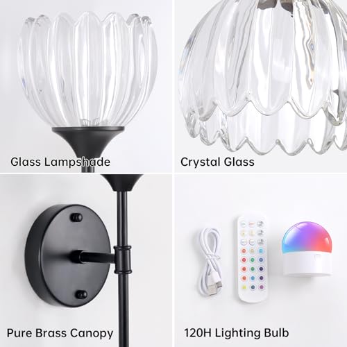 Image of Shenmoyl Battery Operated Wall Sconce Set of 2, Clear Tulip Vintage Wall Light Fixture Rechargeable 5000mAh Battery Powered Wall Lamp with Remote for Living Room Bathroom, Black