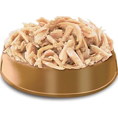 hi life perfection cat food