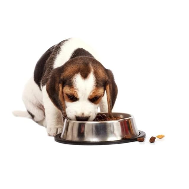 Foto 7 de 8 de POPAS Pienso para Cachorros, Comida para Perros, Alimento Seco con Pollo y Aceite de Salmón