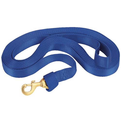Weaver Leather Flat Nylon Lunge Line Blue, 1
