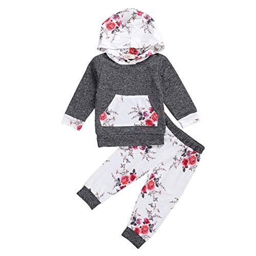 Goocheer Toddler Girl Clothes Floral Long Sleeves Hoodie And Pant Set Toddler Girl Spring Fall Winter Outfit Clothing (Floral, 3-4T) #TOP9