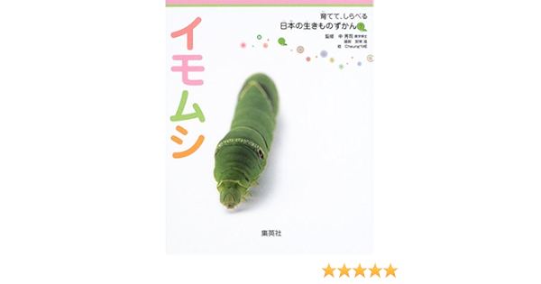 育てて しらべる 日本の生きものずかん 7 イモムシ 育てて しらべる日本の生きものずかん 中 秀司 安東 浩 Cheung Me 本 通販 Amazon