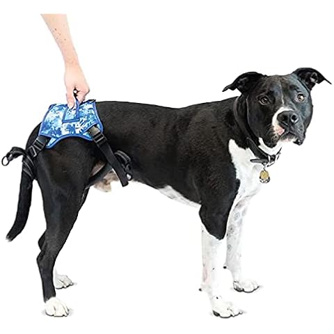 Walkin’ Buddy Up Rear Harness for Dogs, Hind Legs Support for Dogs, Large, 65-95 Lbs, 22-27 Inches Abdomen Girth - Blue Tie-Dye Cover