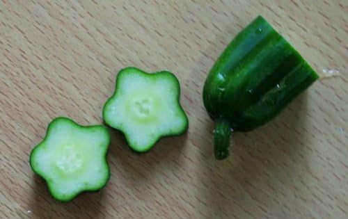 Amazon フォレスト 形成ケース 星のきゅうり 園芸用結束用品 支柱パーツ