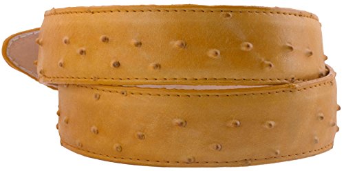 El Presidente Mens Buttecrup Ostrich Quill Print Leather Western Cowboy Belt Rodeo Buckle2