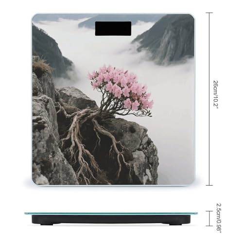 Báscula Digital de Baño con Pantalla LCD y Plataforma de Vidrio Templado miniatura 2