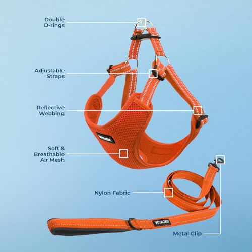 Image of Best Pet Supplies Voyager Adjustable Step-in Flex Breathable Mesh Dog Harness for Small Medium Large Dogs Leash Set (Orange), M