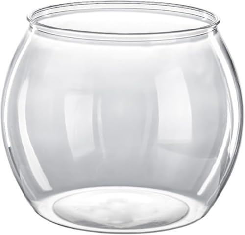 KZZK vX`bN  ی^  ` AN Aؔ A e  (24cm)