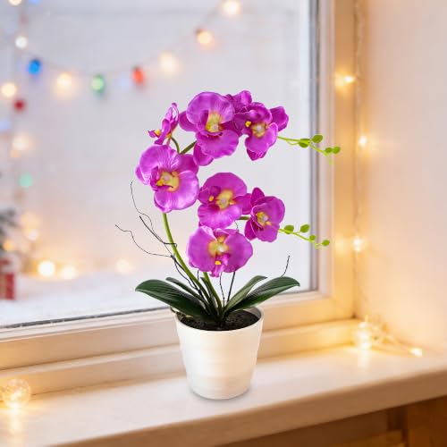 Image of Purple Orchid Lamp Gifts for Women Flower Decor for Bedroom Coffee Shop